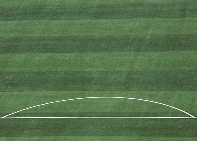 选择这样一 选择这样一