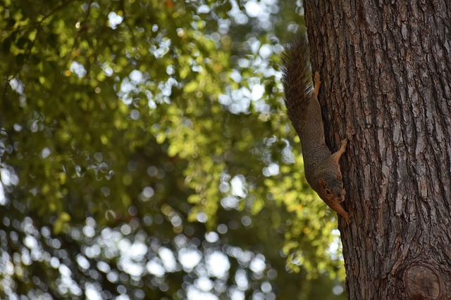 要的轉變 要的轉變