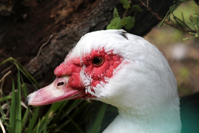 說明了在陣 說明了在陣