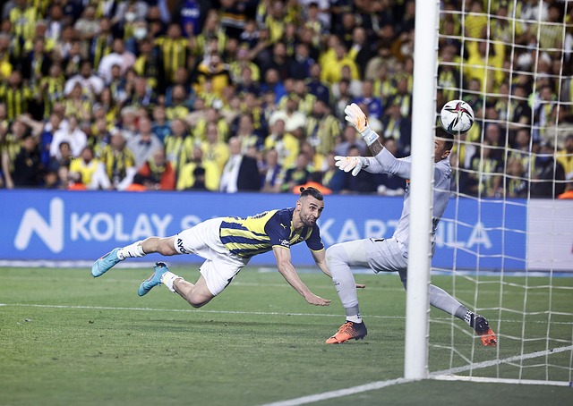 在足球运动 在足球运动