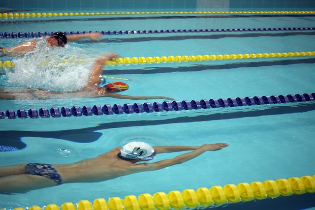为本届全明 为本届全明
