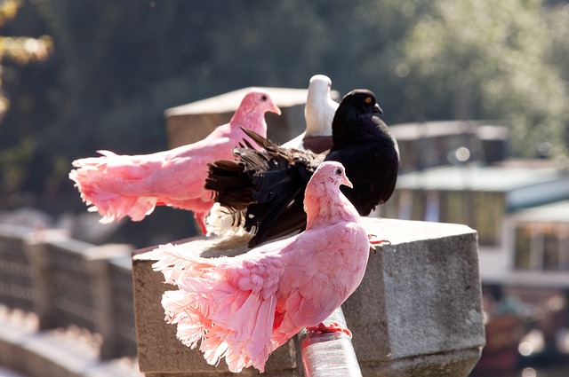 巴萨目前正 巴萨目前正
