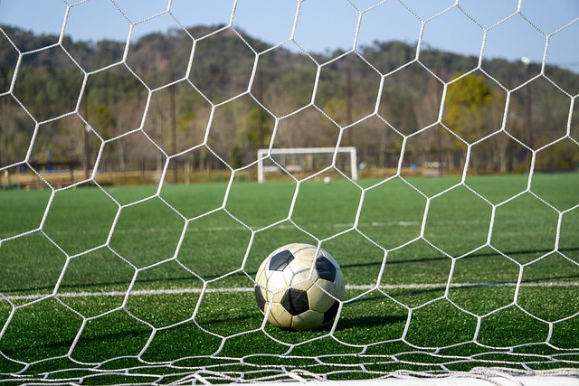 官方：辽宁铁人签下前海牛后卫许东.