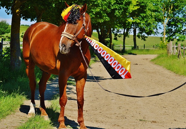 何通过多边 何通过多边