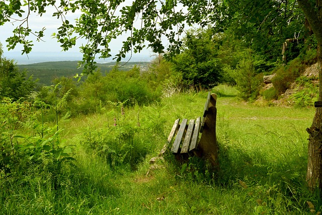 以应对不同 以应对不同