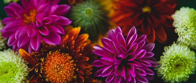 这一经典进 这一经典进